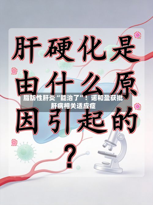 脂肪性肝炎“能治了”！诺和盈获批肝病相关适应症-第2张图片