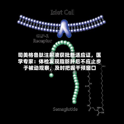司美格鲁肽注射液获批新适应证，医学专家：体检发现脂肪肝后不应止步于被动观察，及时把握干预窗口