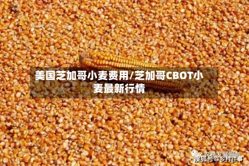 美国芝加哥小麦费用/芝加哥CBOT小麦最新行情-第2张图片