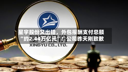 星宇股份又出错	，外包报酬支付总额“约2.44万亿元	”！公司昨天刚致歉-第2张图片