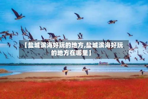 【盐城滨海好玩的地方,盐城滨海好玩的地方在哪里】-第2张图片