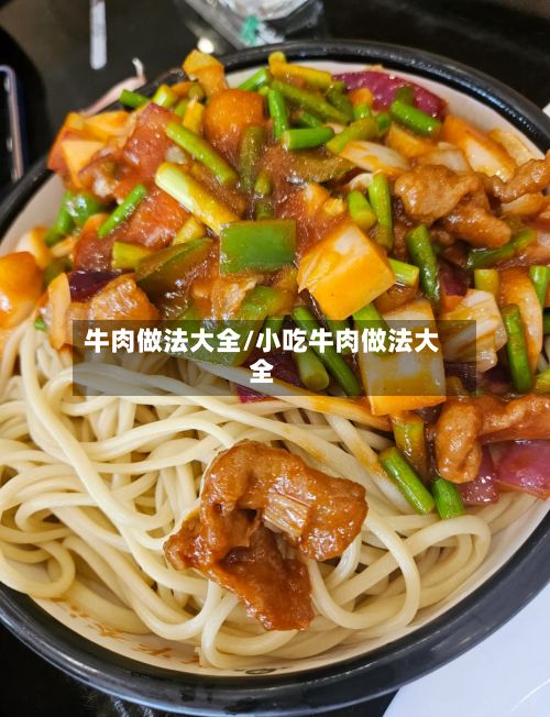 牛肉做法大全/小吃牛肉做法大全