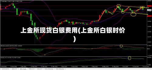 上金所现货白银费用(上金所白银时价)