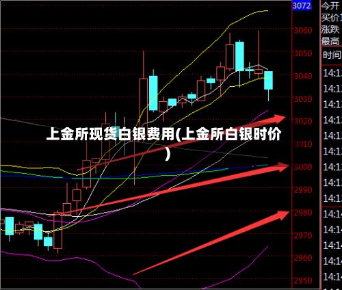 上金所现货白银费用(上金所白银时价)-第2张图片