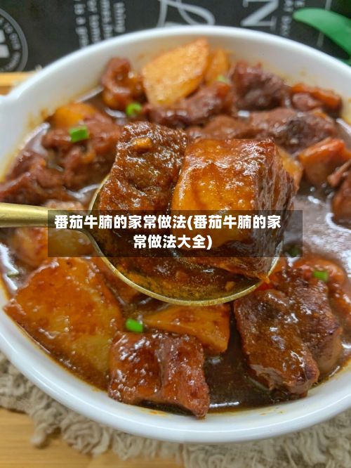 番茄牛腩的家常做法(番茄牛腩的家常做法大全)-第2张图片
