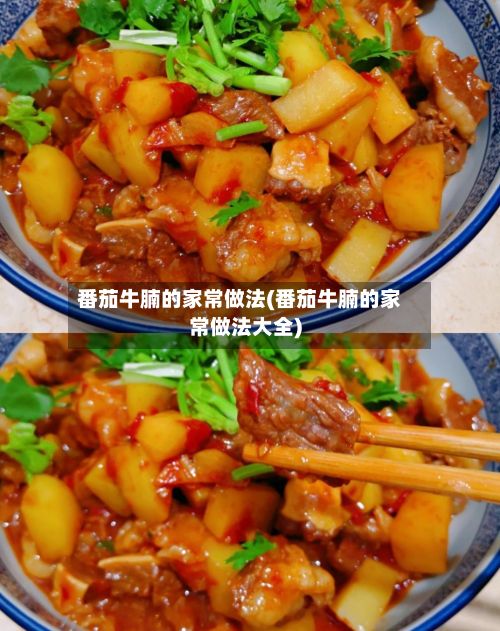 番茄牛腩的家常做法(番茄牛腩的家常做法大全)