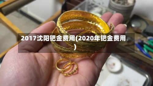 2017沈阳钯金费用(2020年钯金费用)-第2张图片