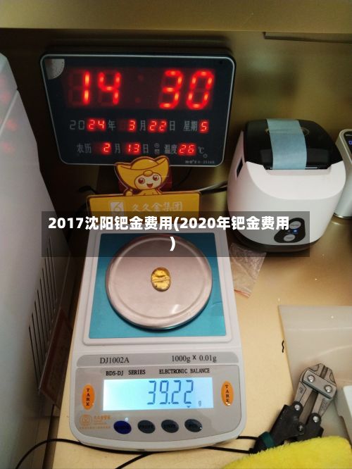 2017沈阳钯金费用(2020年钯金费用)-第3张图片