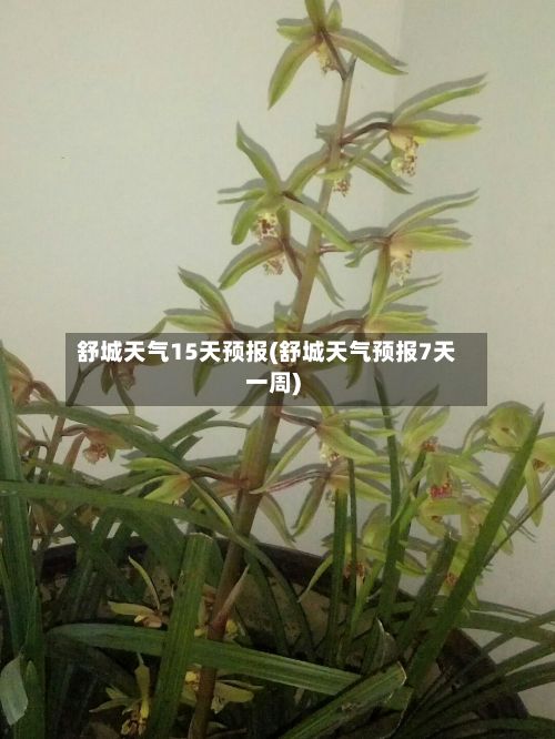 舒城天气15天预报(舒城天气预报7天一周)