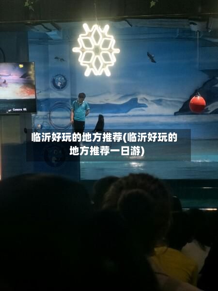 临沂好玩的地方推荐(临沂好玩的地方推荐一日游)-第3张图片