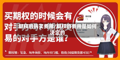 期权的购买费用/期权的费用是如何决定的