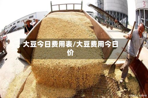大豆今日费用表/大豆费用今日价