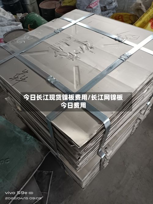 今日长江现货镍板费用/长江网镍板今日费用