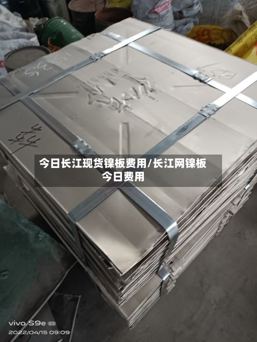 今日长江现货镍板费用/长江网镍板今日费用-第3张图片