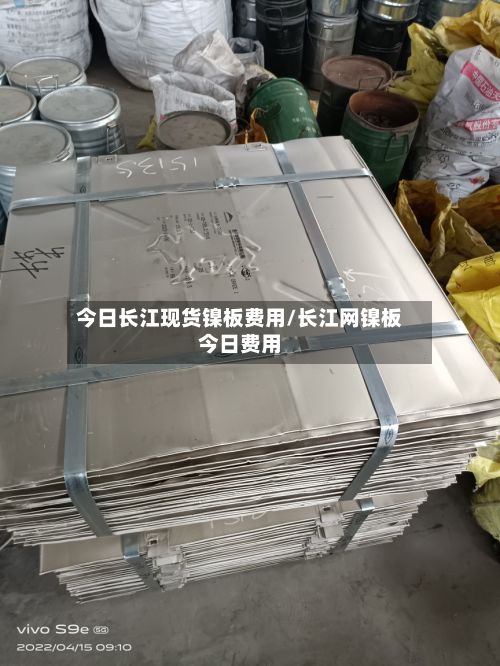 今日长江现货镍板费用/长江网镍板今日费用-第2张图片
