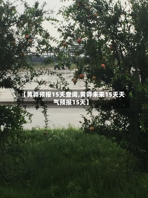 【黄骅预报15天查询,黄骅未来15天天气预报15天】-第2张图片
