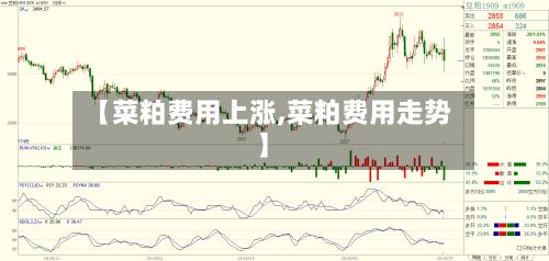 【菜粕费用上涨,菜粕费用走势】-第2张图片