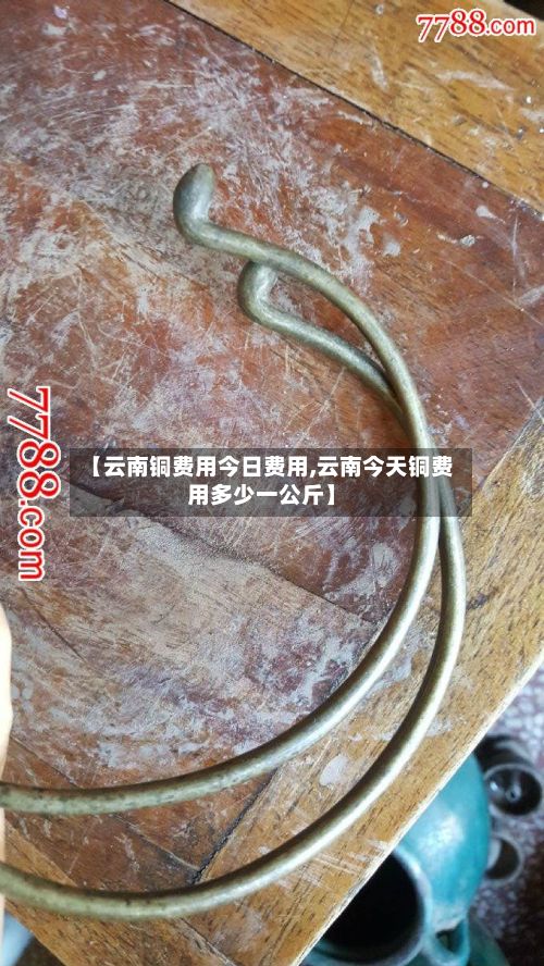 【云南铜费用今日费用,云南今天铜费用多少一公斤】