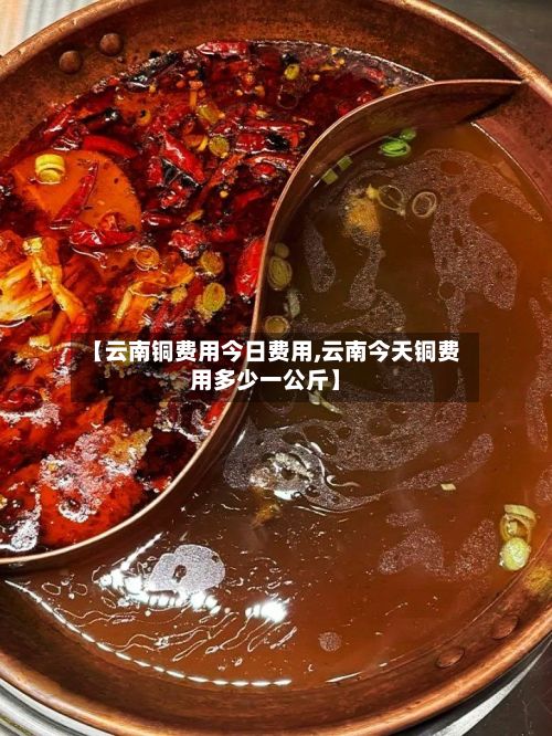 【云南铜费用今日费用,云南今天铜费用多少一公斤】-第2张图片