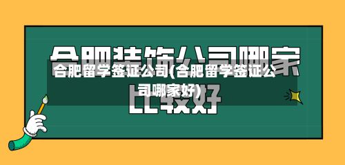合肥留学签证公司(合肥留学签证公司哪家好)