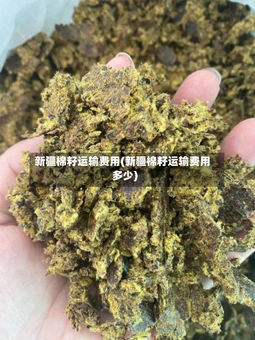 新疆棉籽运输费用(新疆棉籽运输费用多少)-第2张图片