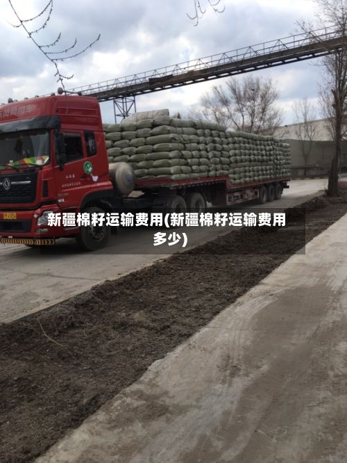新疆棉籽运输费用(新疆棉籽运输费用多少)