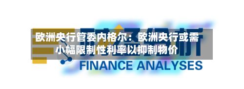 欧洲央行管委内格尔：欧洲央行或需小幅限制性利率以抑制物价-第2张图片