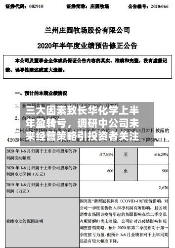 三大因素致长华化学上半年盈转亏，调研中公司未来经营策略引投资者关注-第1张图片