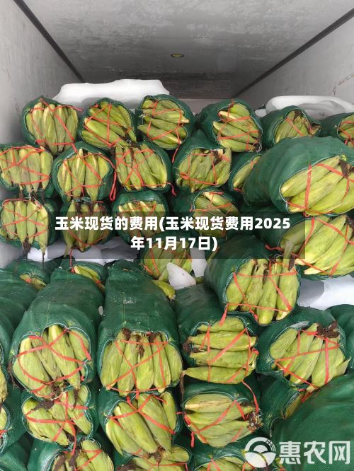 玉米现货的费用(玉米现货费用2025年11月17日)