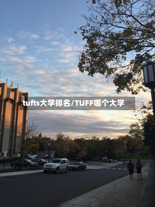 tufts大学排名/TUFF哪个大学