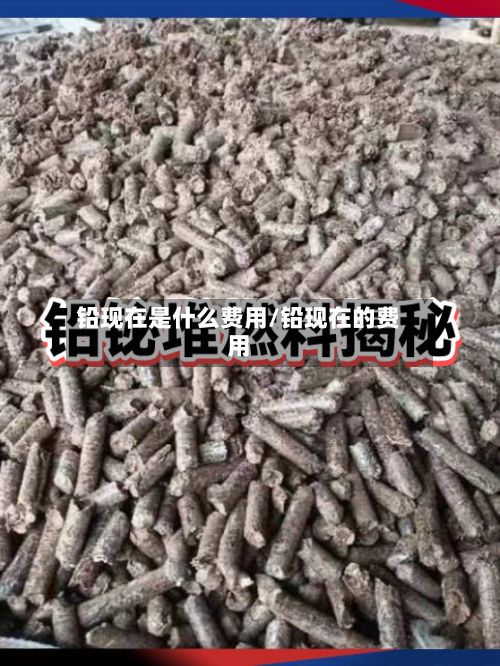 铅现在是什么费用/铅现在的费用