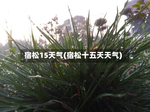 宿松15天气(宿松十五天天气)