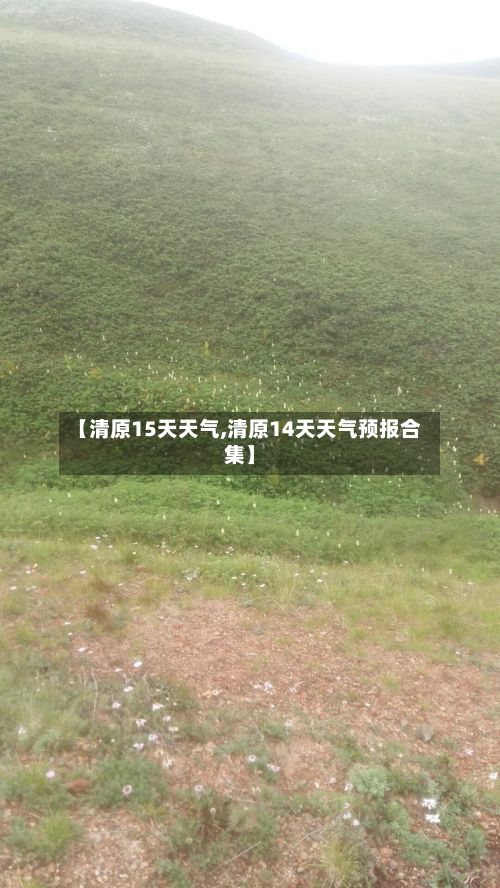 【清原15天天气,清原14天天气预报合集】-第2张图片