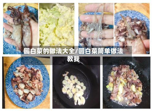 圆白菜的做法大全/圆白菜简单做法教我