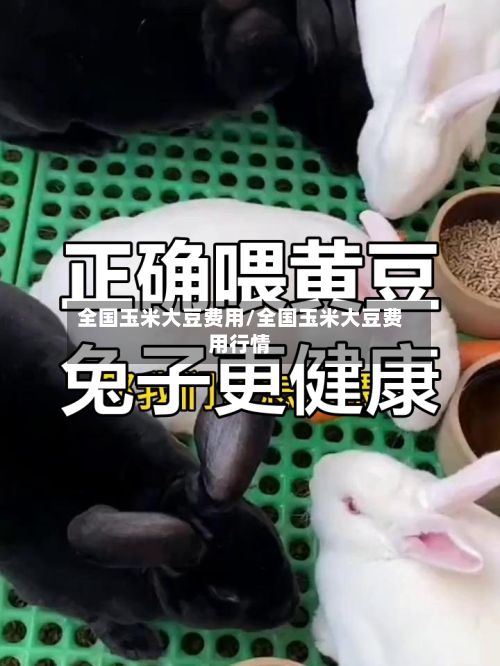 全国玉米大豆费用/全国玉米大豆费用行情