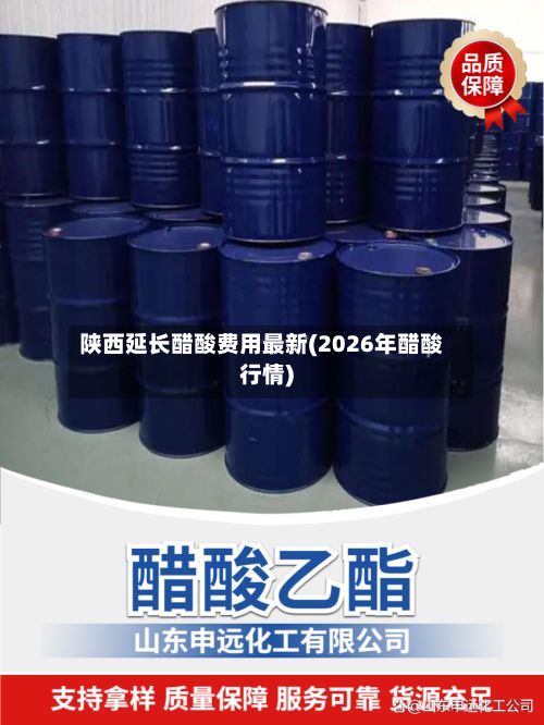 陕西延长醋酸费用最新(2026年醋酸行情)