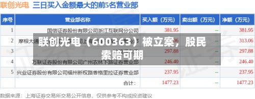 联创光电（600363）被立案，股民索赔可期-第3张图片