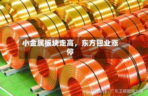 小金属板块走高	，东方钽业涨停-第2张图片
