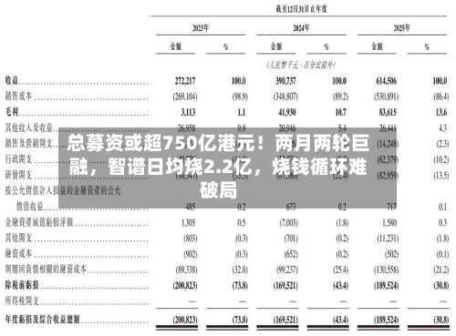 总募资或超750亿港元！两月两轮巨融	，智谱日均烧2.2亿，烧钱循环难破局-第2张图片