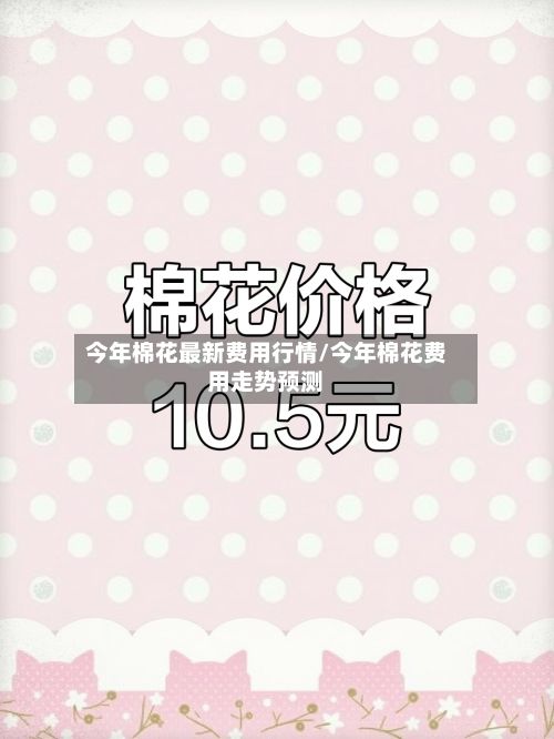 今年棉花最新费用行情/今年棉花费用走势预测-第2张图片