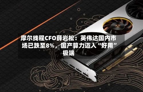 摩尔线程CFO薛岩松：英伟达国内市场已跌至8%，国产算力迈入“好用”极端-第2张图片