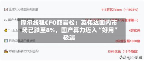 摩尔线程CFO薛岩松：英伟达国内市场已跌至8%，国产算力迈入“好用”极端-第3张图片