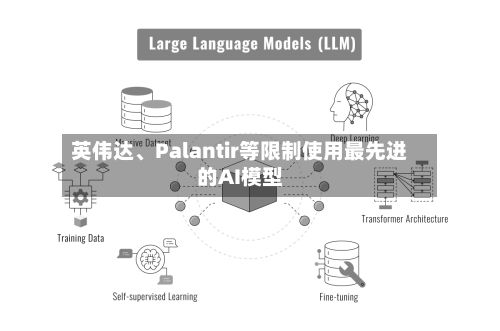 英伟达、Palantir等限制使用最先进的AI模型-第2张图片