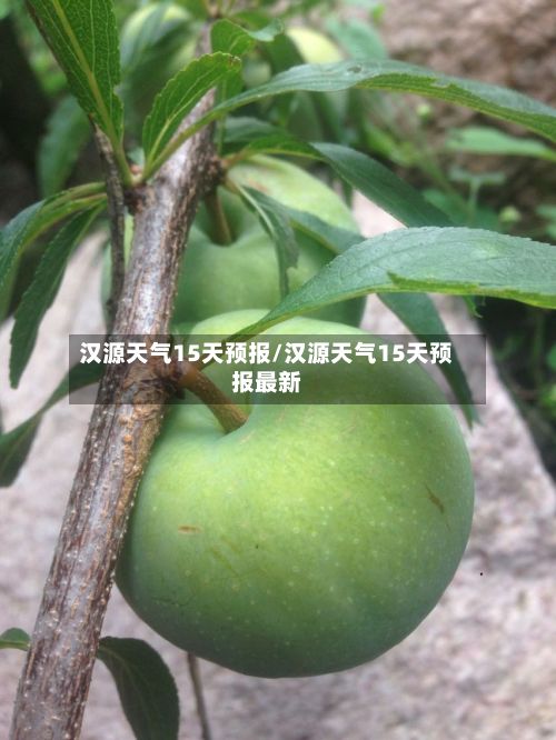 汉源天气15天预报/汉源天气15天预报最新