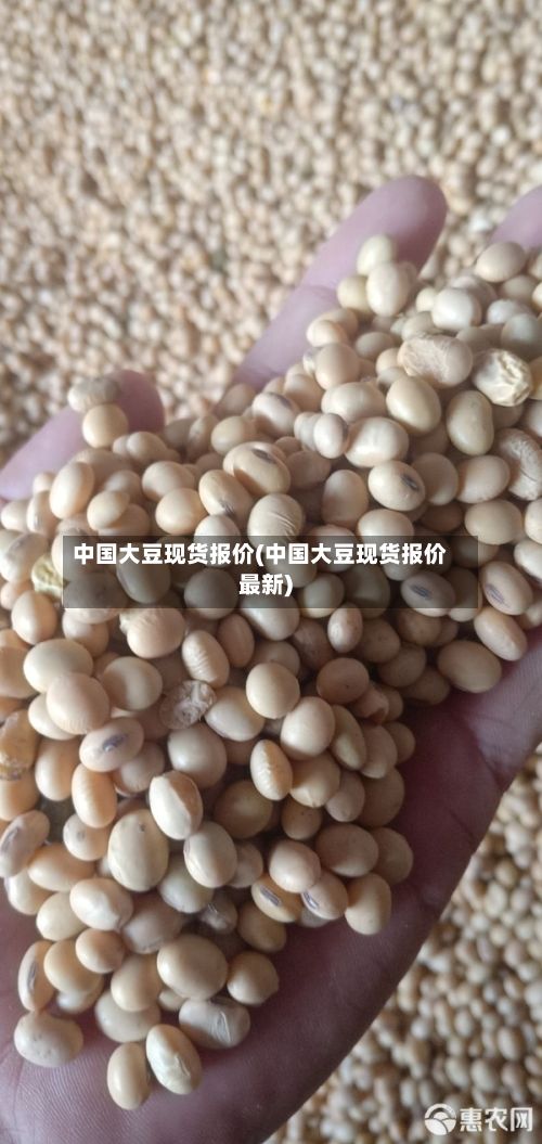 中国大豆现货报价(中国大豆现货报价最新)