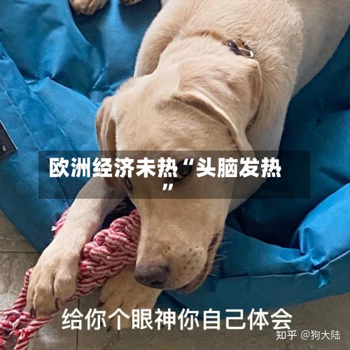 欧洲经济未热“头脑发热”-第2张图片