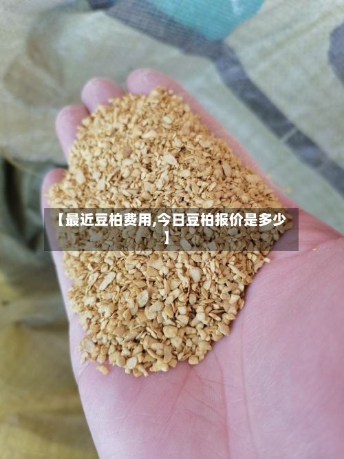 【最近豆柏费用,今日豆柏报价是多少】-第3张图片