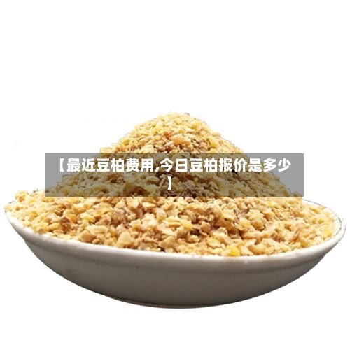 【最近豆柏费用,今日豆柏报价是多少】