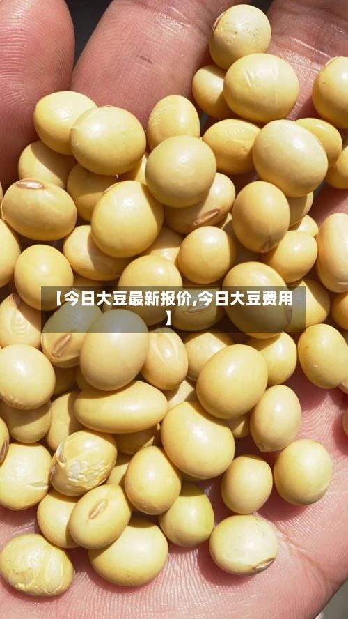 【今日大豆最新报价,今日大豆费用】-第2张图片