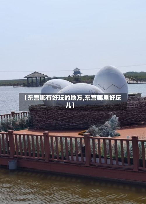 【东营哪有好玩的地方,东营哪里好玩儿】